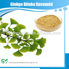 CAS: 90045-36-6 Extrait de Ginkgo Biloba de Meilleur Qualité 1 à 24% Flavonoïde de Ginkgo